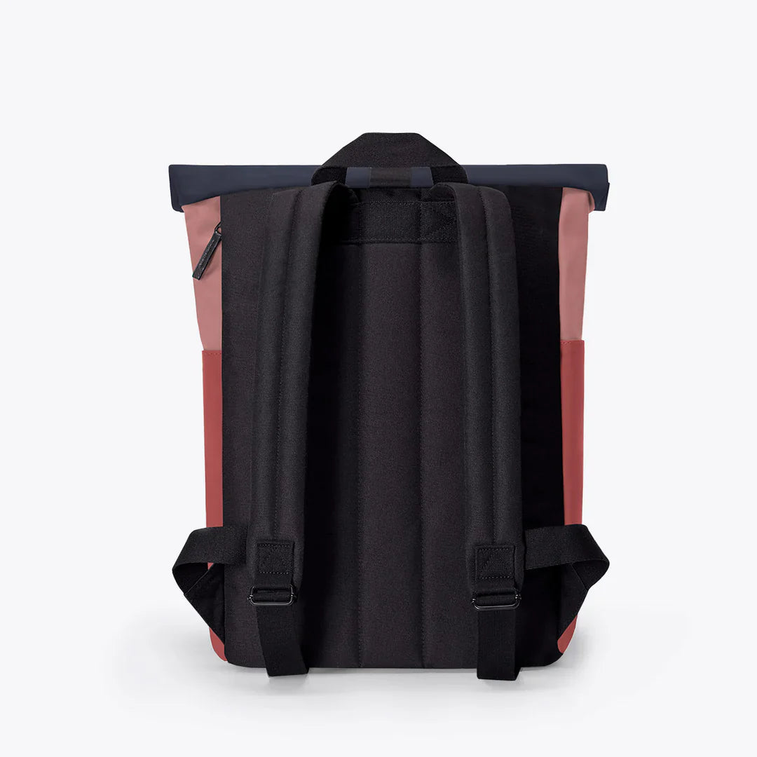 Hajo Mini in Dark rose Hibiscus