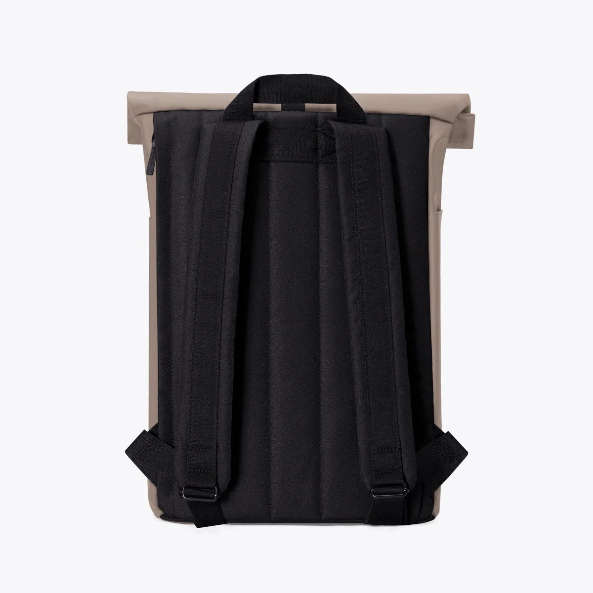 Hajo Medium in Dark Sand